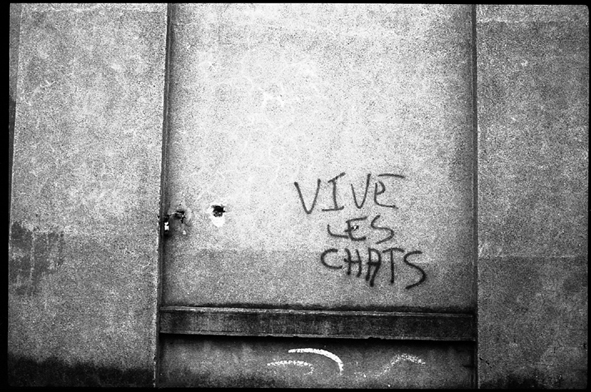 chat