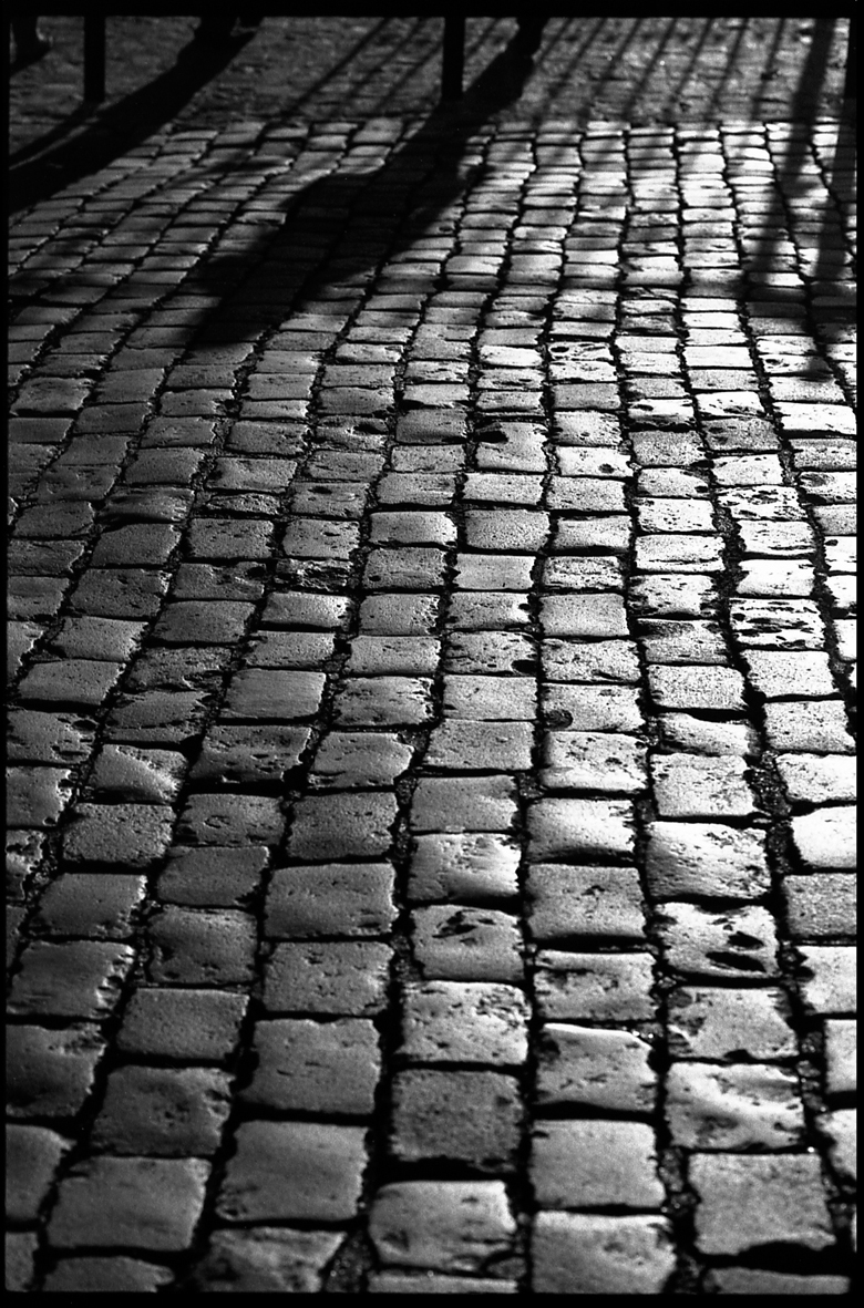Rue